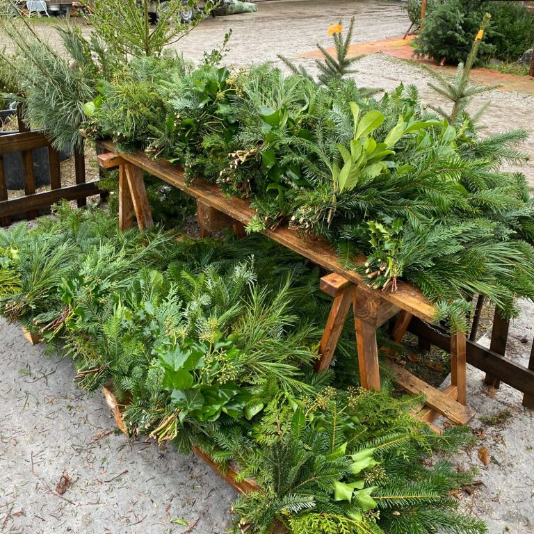Bündel aus verschiedenen immergrünen Adventlichen Zweigen zum dekorieren und basteln "gemischte-Handbunde-zum-dekorieren-im-Advent"